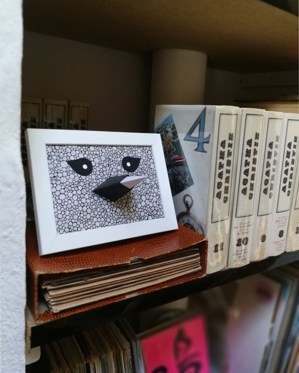 Entre les murs des étagères, un oiseau de la série Beak.